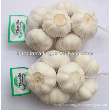 500g d&#39;ail blanc pur